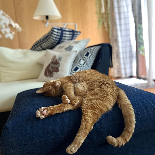pooさんの部屋