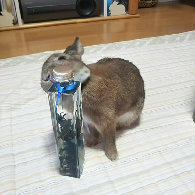 yuzu0223さんの実例写真