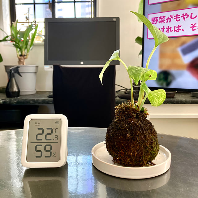 MOMOMAMAさんの実例写真