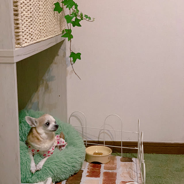 Kayukoさんの実例写真