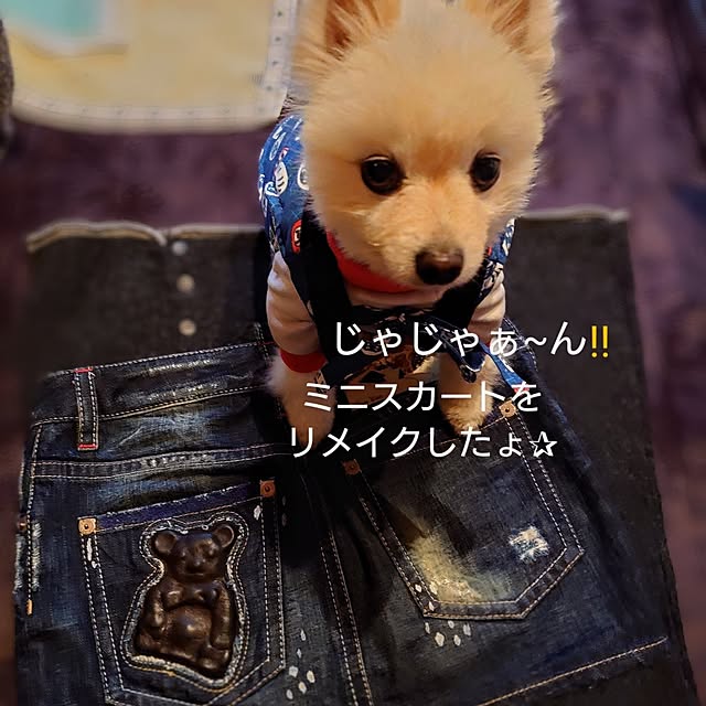 akaidarumaさんの実例写真