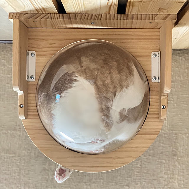 mintteaさんの部屋