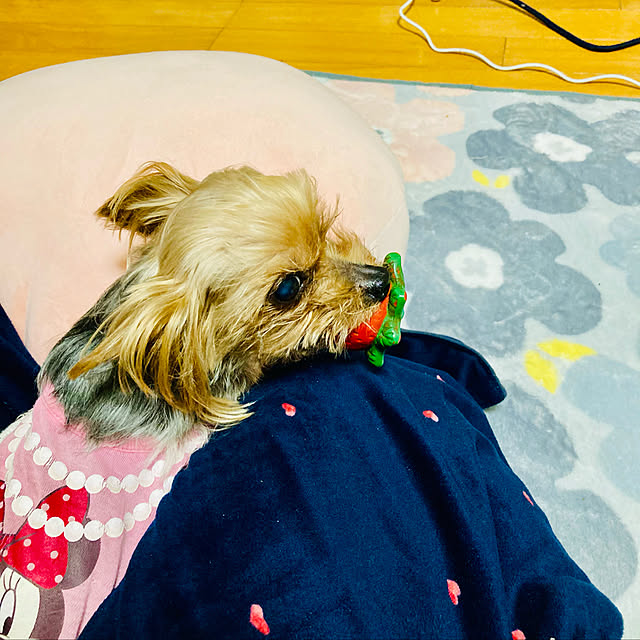 CoCo0617さんの実例写真