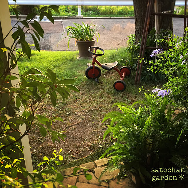 satochanさんの実例写真