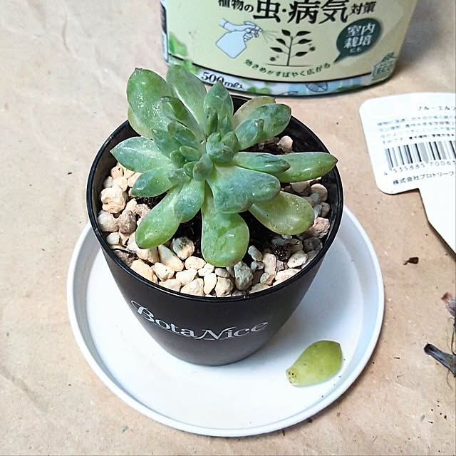 h.t.さんの部屋