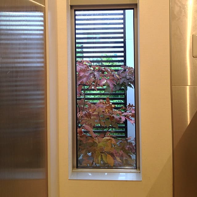 torikushiさんの実例写真