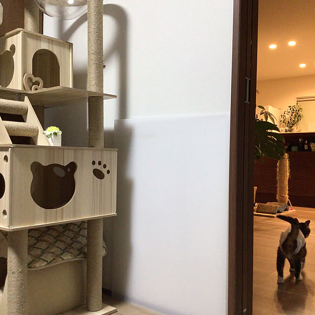 houenさんの部屋