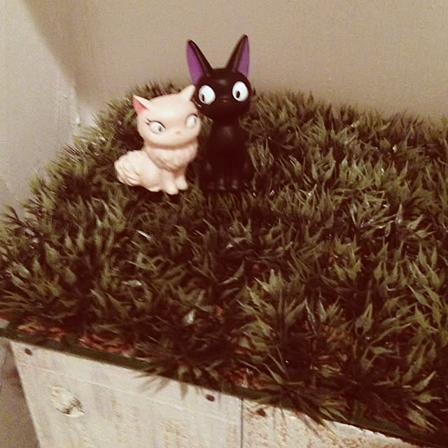 haruchonさんの実例写真