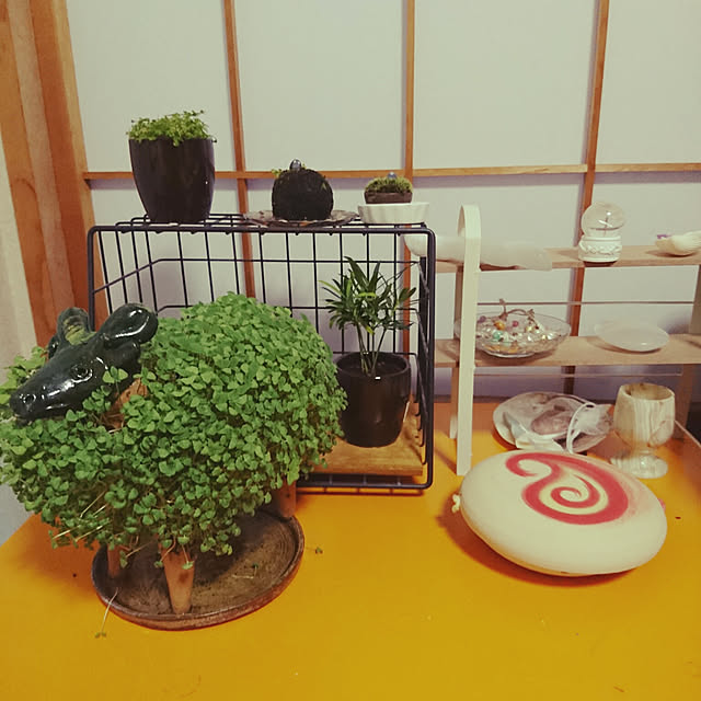 mahoさんの実例写真
