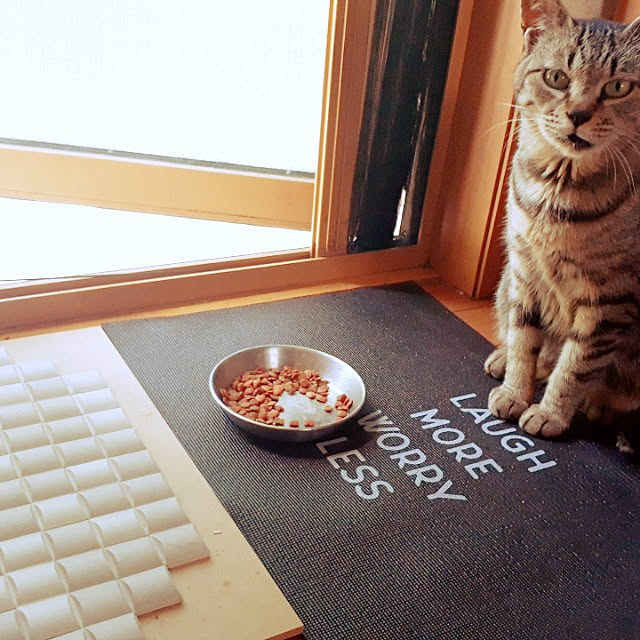DEMINICOさんの実例写真