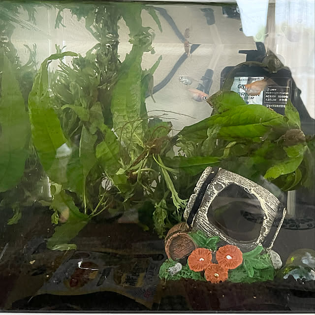 Melさんの実例写真