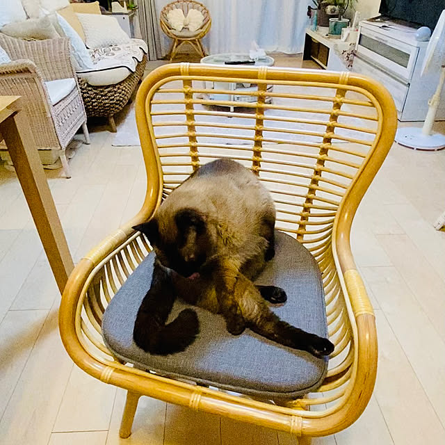 dodoさんの実例写真