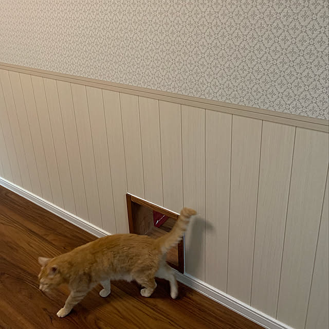 mikeume7さんの実例写真
