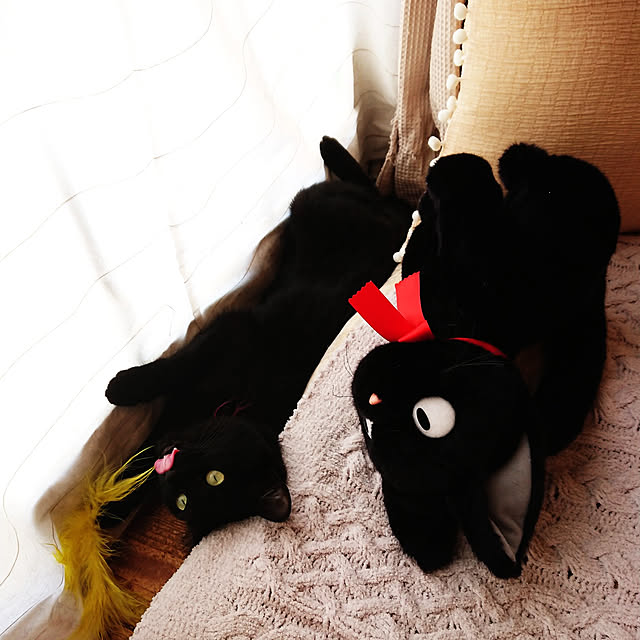 ruuさんの実例写真