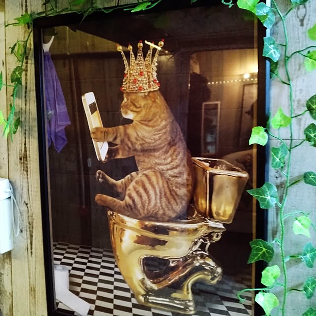 runaさんの部屋