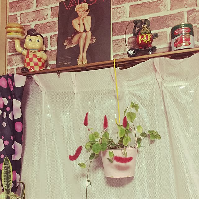 823さんの実例写真