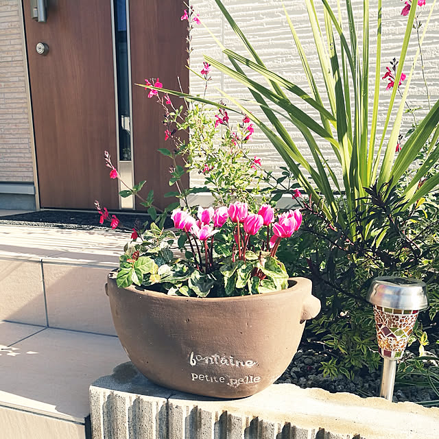 roomさんの実例写真