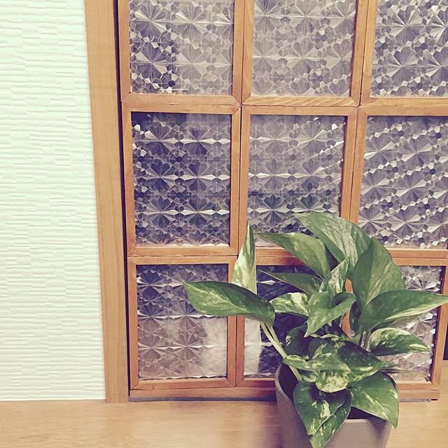 momonaさんの実例写真