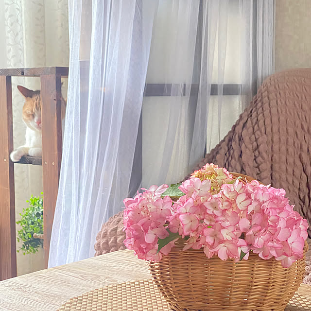 mintteaさんの部屋