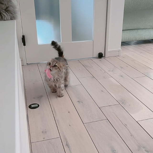 miyu39さんの部屋