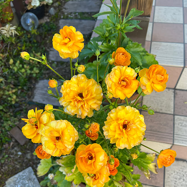 hinamamaさんの実例写真