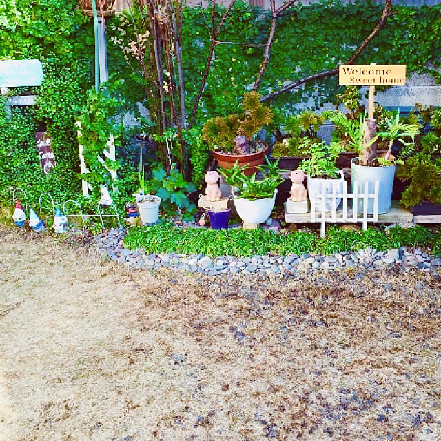 takakoさんの実例写真