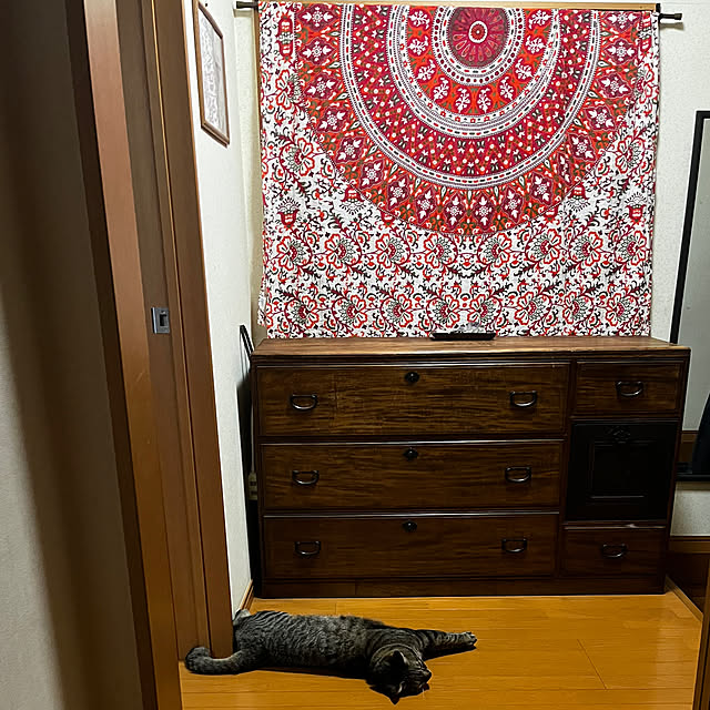 mikan161さんの実例写真