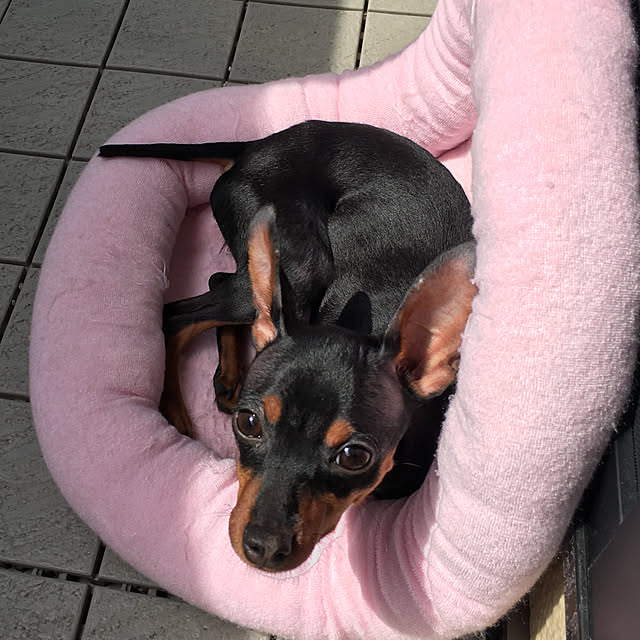 LUNAさんの実例写真
