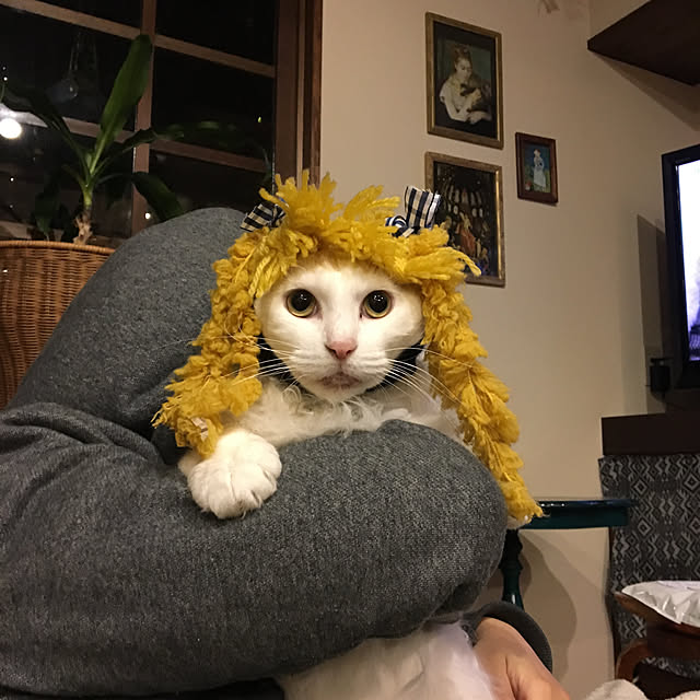 shigimiさんの実例写真