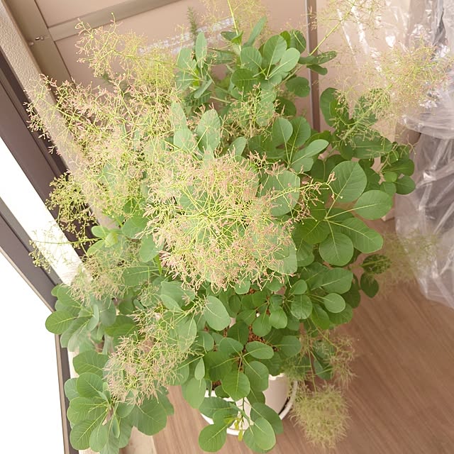 maikeru.3384さんの部屋
