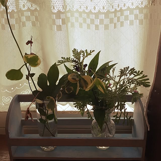 Yukoさんの実例写真