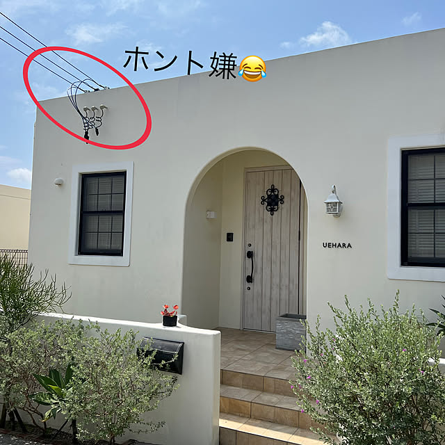 syungikuさんの部屋