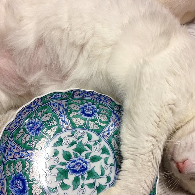 chocola1960さんの実例写真