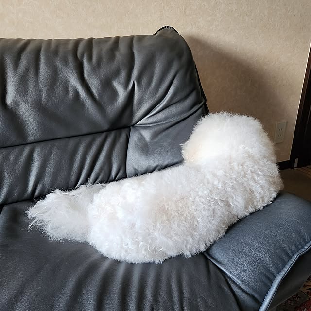 takoさんの実例写真
