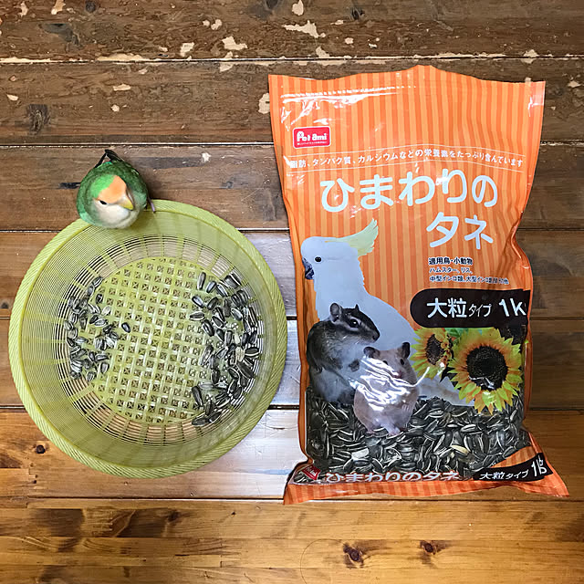 aoinokimiさんの実例写真