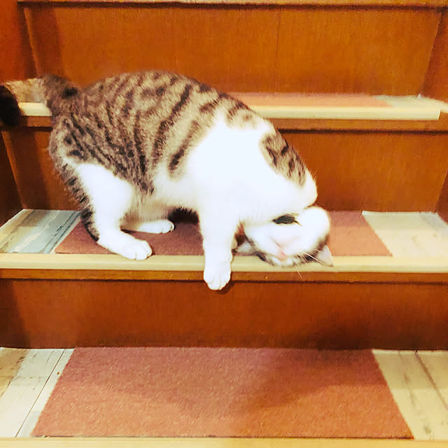 karua.0214さんの実例写真