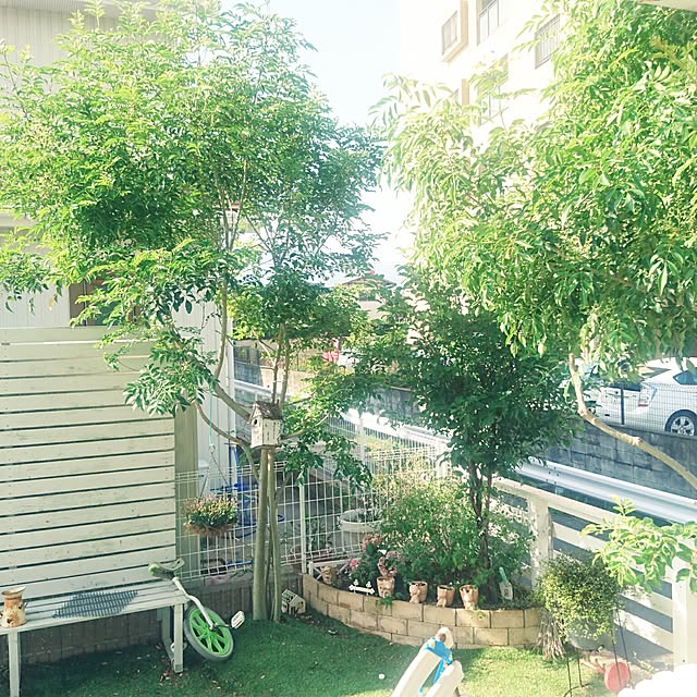hameda0909さんの実例写真