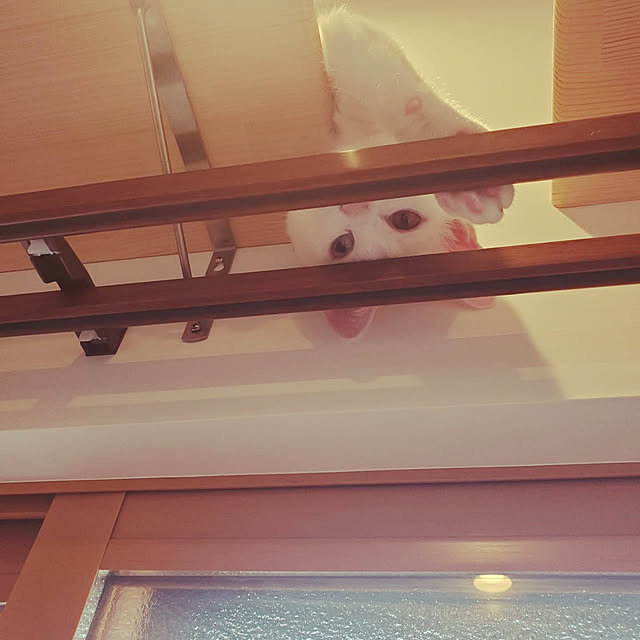 lilyさんの実例写真