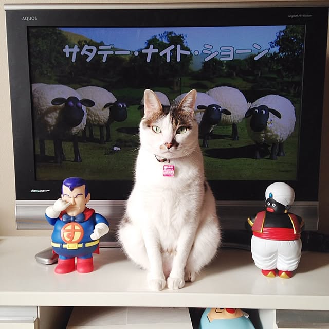Sakiさんの実例写真