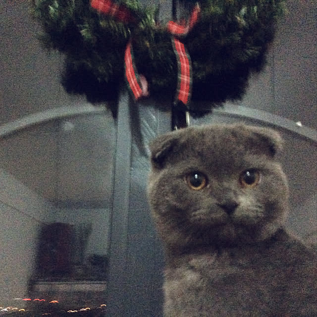 fannylf1103さんの実例写真
