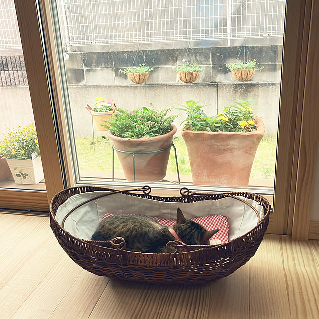 haruさんの実例写真