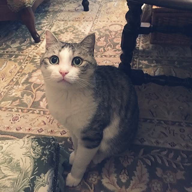emmyyさんの実例写真