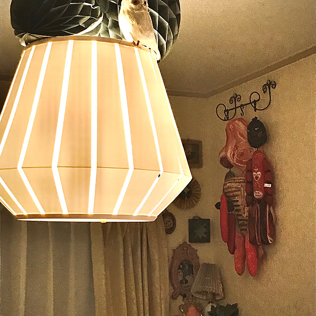 hatozaemonさんの実例写真
