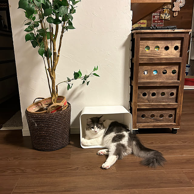 pickoro883さんの実例写真