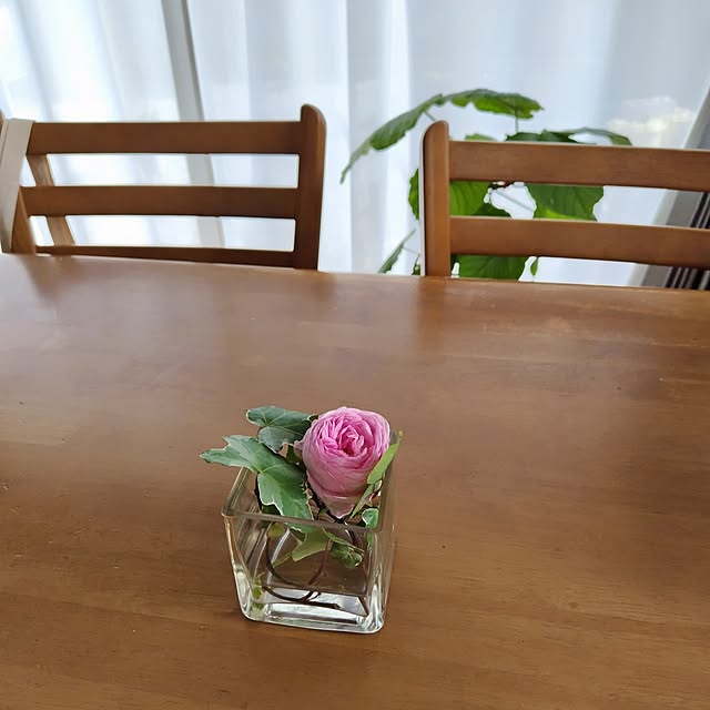 mutsuさんの部屋