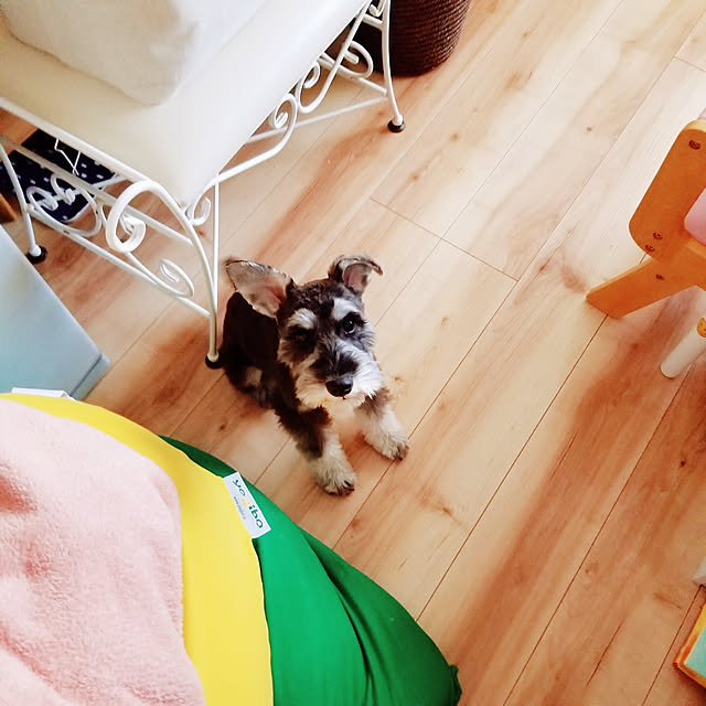 keikomokonさんの実例写真