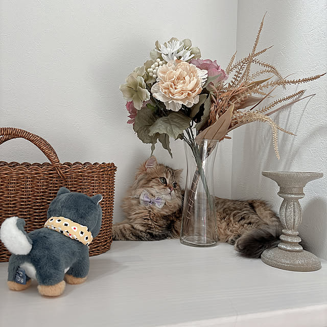 miyu39さんの部屋