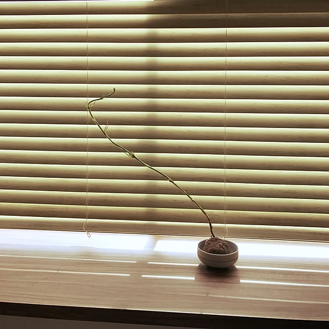 yaeさんの実例写真