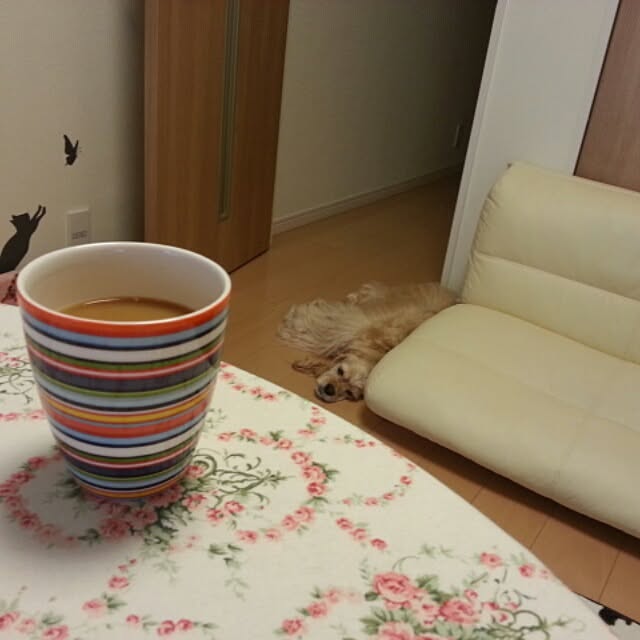evetamaさんの実例写真