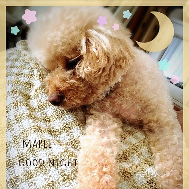 mapleさんの実例写真